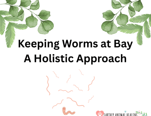 Keeping Worms at Bay: A Holistic Approach